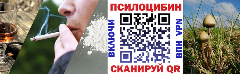Галлюциногенные грибы MAGIC MUSHROOMS Туран